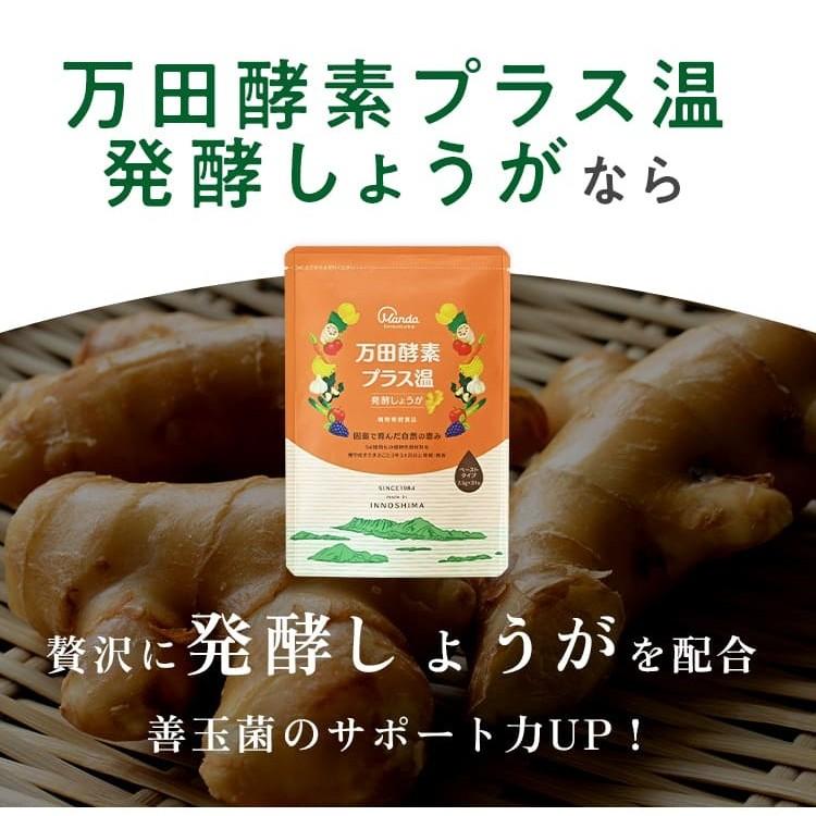 万田酵素 万田酵素ペースト 公式 プラス温 発酵 しょうが （ 分包