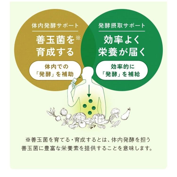 万田酵素 万田酵素ペースト 公式 プラス温 発酵 しょうが （ 分包