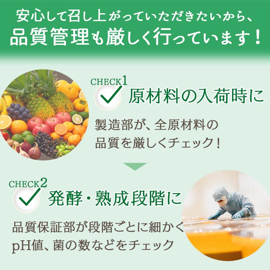 万田酵素 ペースト 公式 スタンダード ペーストタイプ 分包 約1ヶ月分