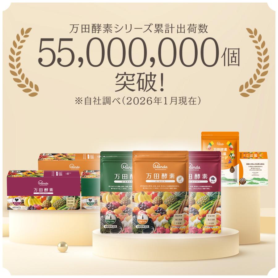 万田酵素 ペースト 公式 スタンダード ペーストタイプ 分包 約1ヶ月分