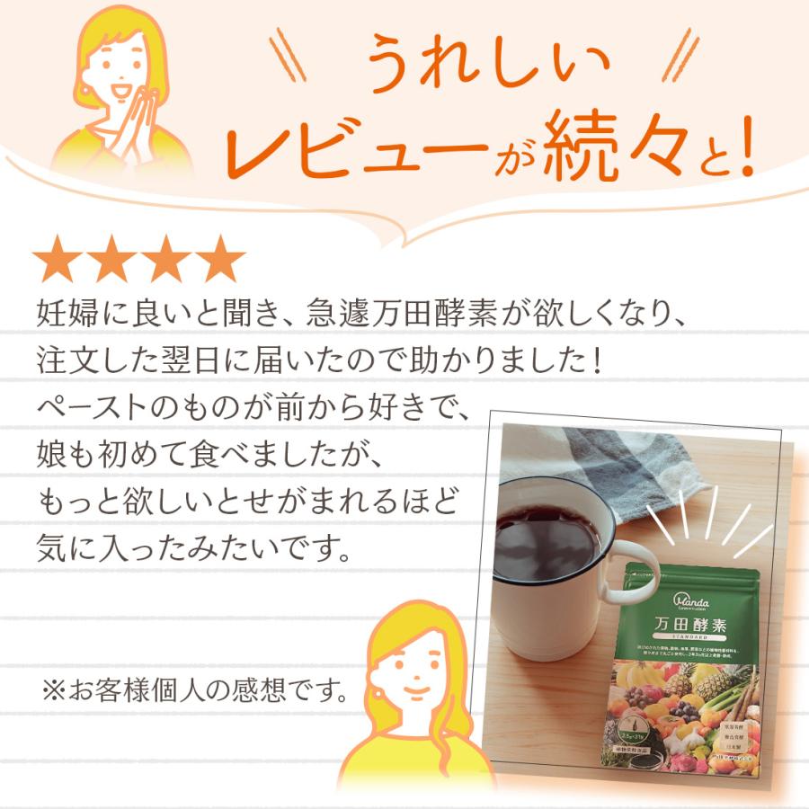 万田酵素 ペースト 公式 スタンダード ペーストタイプ 分包 約1ヶ月分
