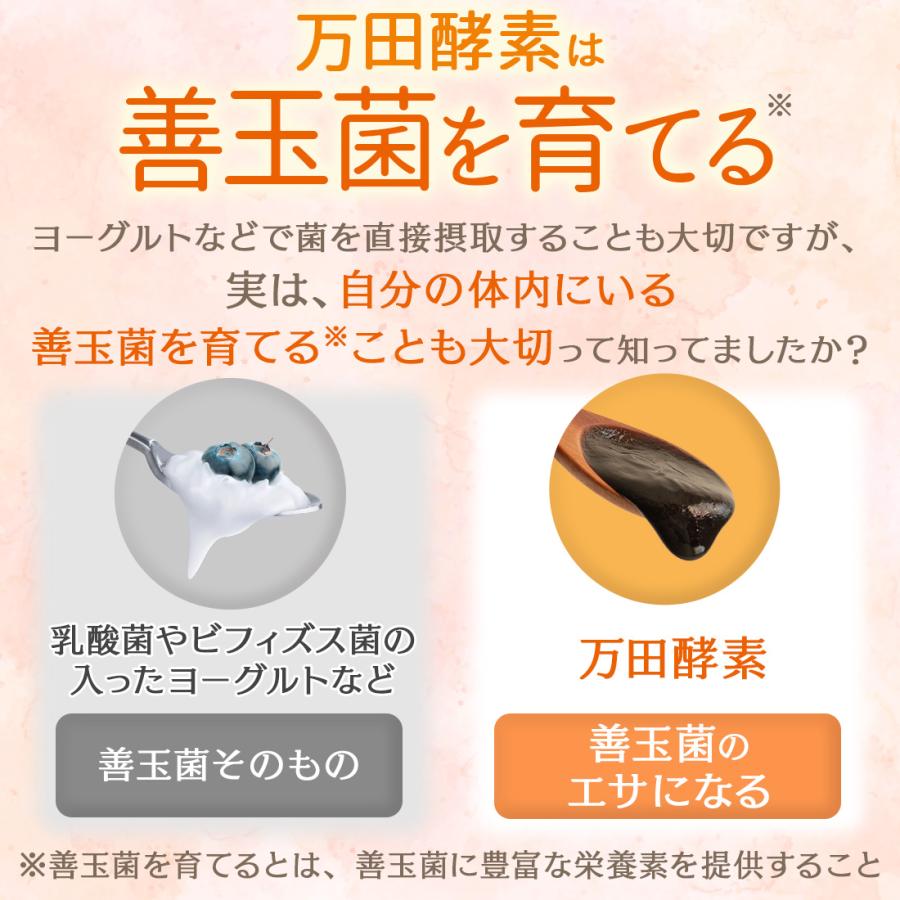 万田酵素 ペースト 公式 スタンダード ペーストタイプ 分包 約1ヶ月分
