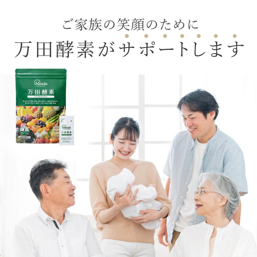 万田酵素 スタンダード ペーストタイプ 2 5g 31包 分包 約31日分 送料0円 公式 酵素 サプリ 送料無料 びわ 発酵食品 植物性 国産 万田発酵 野菜 果物 無添加