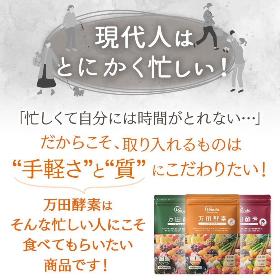 万田酵素 ペースト 公式 スタンダード ペーストタイプ 分包 約1ヶ月分