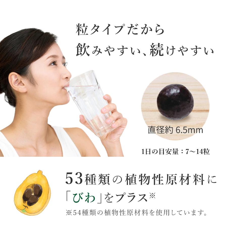 万田酵素 スタンダード 粒 タイプ 約1ヶ月分 サプリ サプリメント 万田