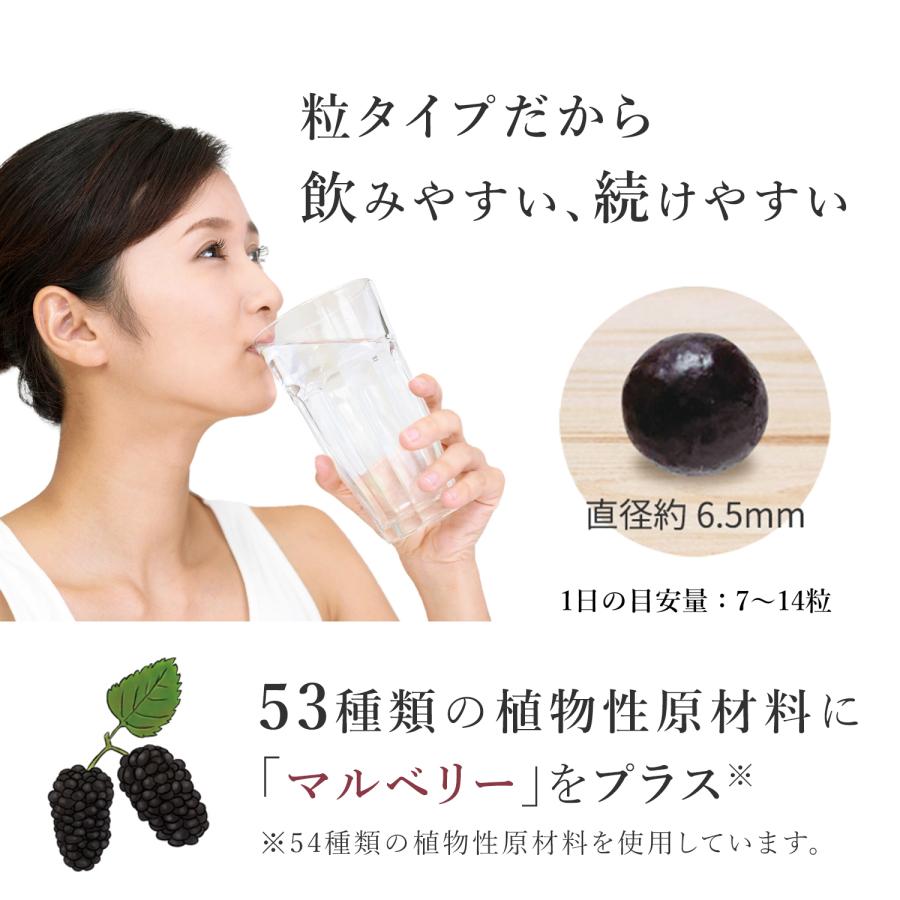 万田酵素 マルベリー 粒 タイプ 約1ヶ月分 サプリ サプリメント 万田