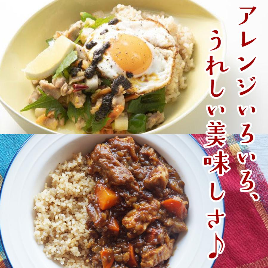 #断裁済み#自炊用#解雇された(16)、万能開拓(12)、冒険者生活(10) 万田 酵素玄米 ごはん 万田発酵のもちもち寝かせ玄米ごはん 12食