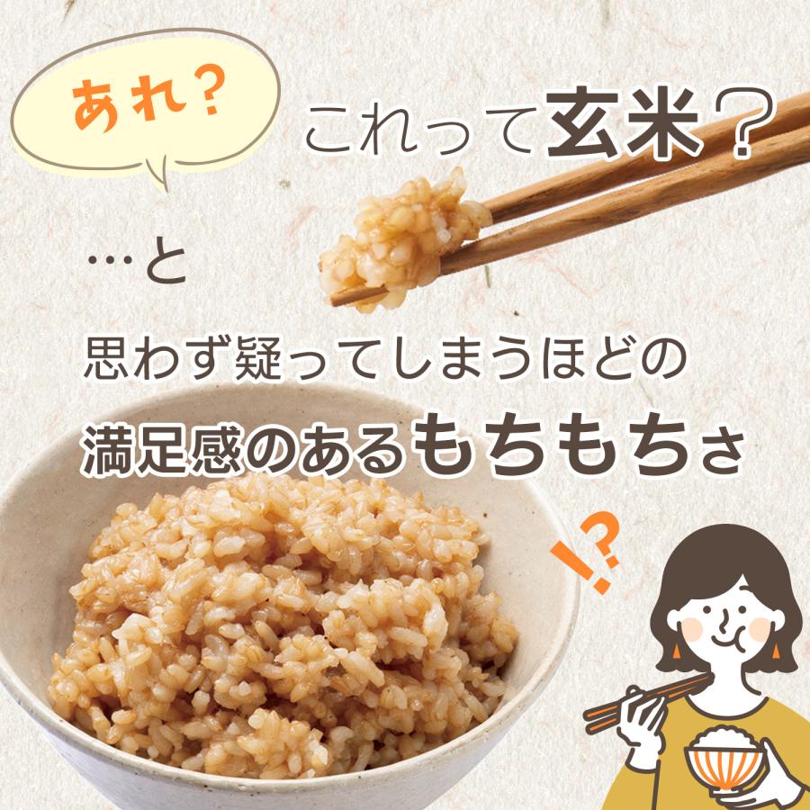 【最終値下げ】万田発酵のもちもち寝かせ玄米ごはん 公式】万田発酵のもちもち寝かせ玄米ごはん 12パック｜万田発酵公式
