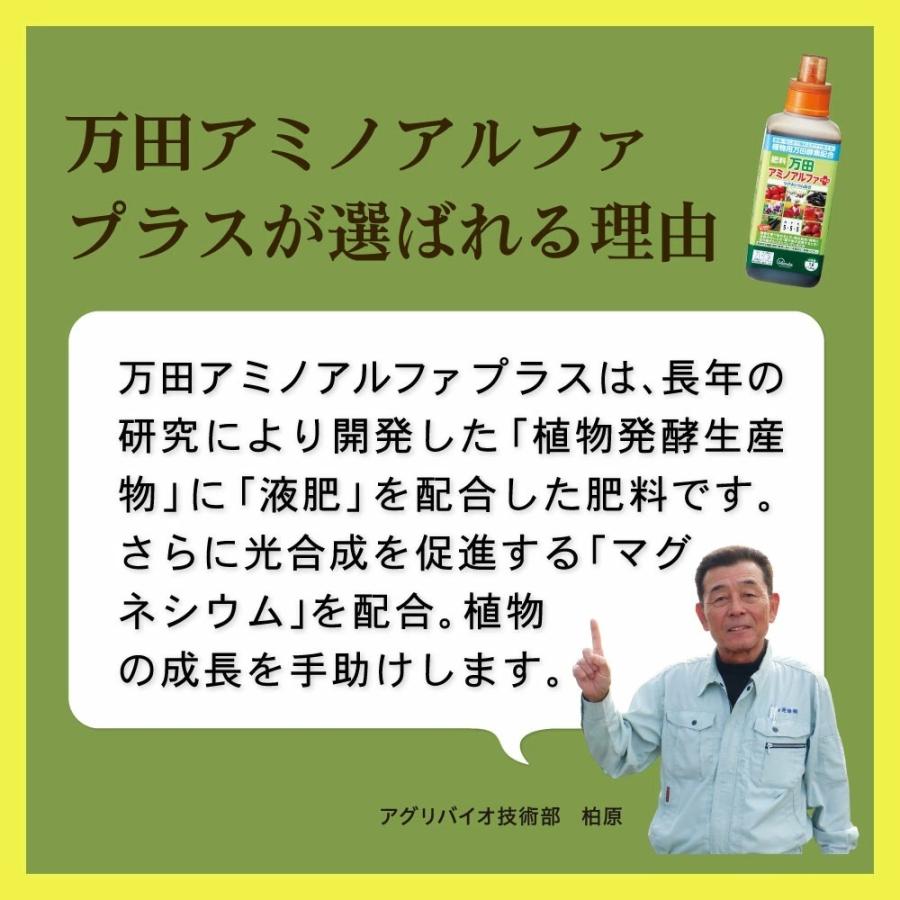 万田酵素 肥料 万田アミノアルファプラス 500ml 花 ガーデニング 公式