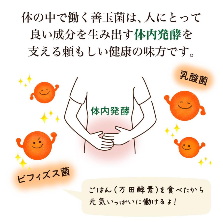 万田酵素 お試し セット ペースト5包 選べる3つの味 万田 酵素 万田酵素 お試し セット ペースト5包 選べる3つの味 万田 酵素