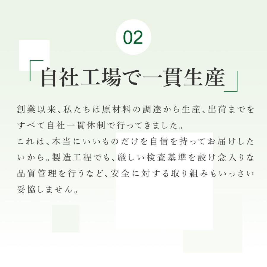 憧れ 万田酵素 ジンジャー 分包 2袋セット 31包 2袋 公式 酵素 サプリ 健康食品 万田発酵 発酵食品 国産 生姜 しょうが 果物 野菜 植物性 送料無料 Wantannas Go Id