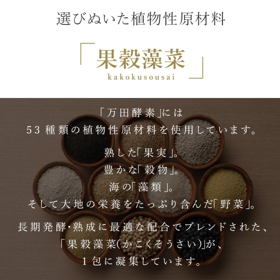万田酵素　ペーストタイプ　2個 Amazon.co.jp: 【 2袋セット 】 【公式】万田酵素 STANDARD