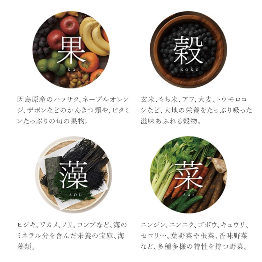 万田酵素 スタンダード ペーストタイプ 分包 約2ヶ月分 サプリ