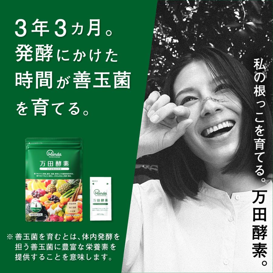 万田酵素 ジンジャー & スタンダード ペーストタイプ 約2ヶ月分 サプリ 