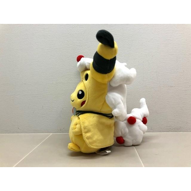 ポケモンセンター限定　ポンチョを着たピカチュウ　メガデンリュウ　タグ付き ポケモン メガデンリュウのポンチョを着たピカチュウ ポケモンセンター