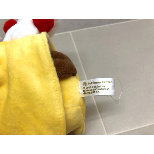 ポケモン メガデンリュウのポンチョを着たピカチュウ ポケモンセンター