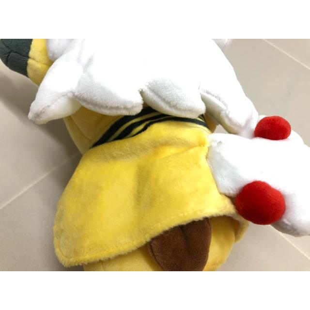 ぬいぐるみ メガデンリュウのポンチョを着たピカチュウ　ポケモンセンター ポケモン メガデンリュウのポンチョを着たピカチュウ ポケモンセンター