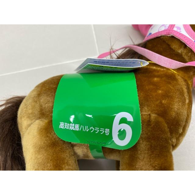 高知競馬の ハルウララ号を 応援しよう ハルウララ ぬいぐるみ【F7428