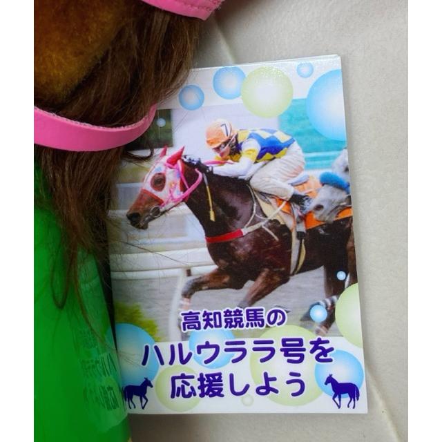 高知競馬の ハルウララ号を 応援しよう ハルウララ ぬいぐるみ【F7428