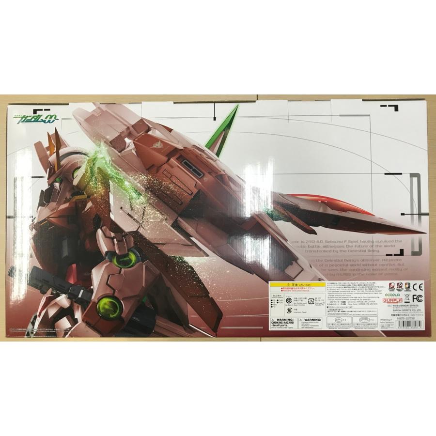113 未組立 プレミアムバンダイ限定 PG 1/60 GN-0000+GNR-010