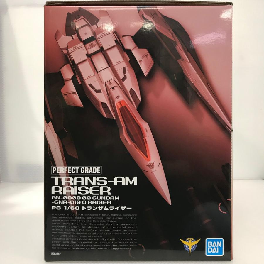 113 未組立 プレミアムバンダイ限定 PG 1/60 GN-0000+GNR-010