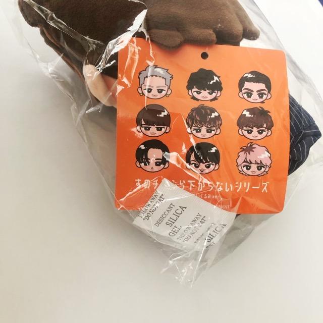SnowMan 向井康二 すのチル ぶら下がらないシリーズ BIGぬいぐるみ 未
