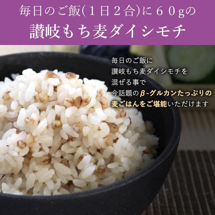 【まとめ買い割引 8.3%OFF!!】脱メタボ 讃岐もち麦 ダイシモチ 3カ月 効果 実感セット 腸活 ダイエット 野菜不足 食物繊維 食生活見直し｜mandegan-daishimochi｜09