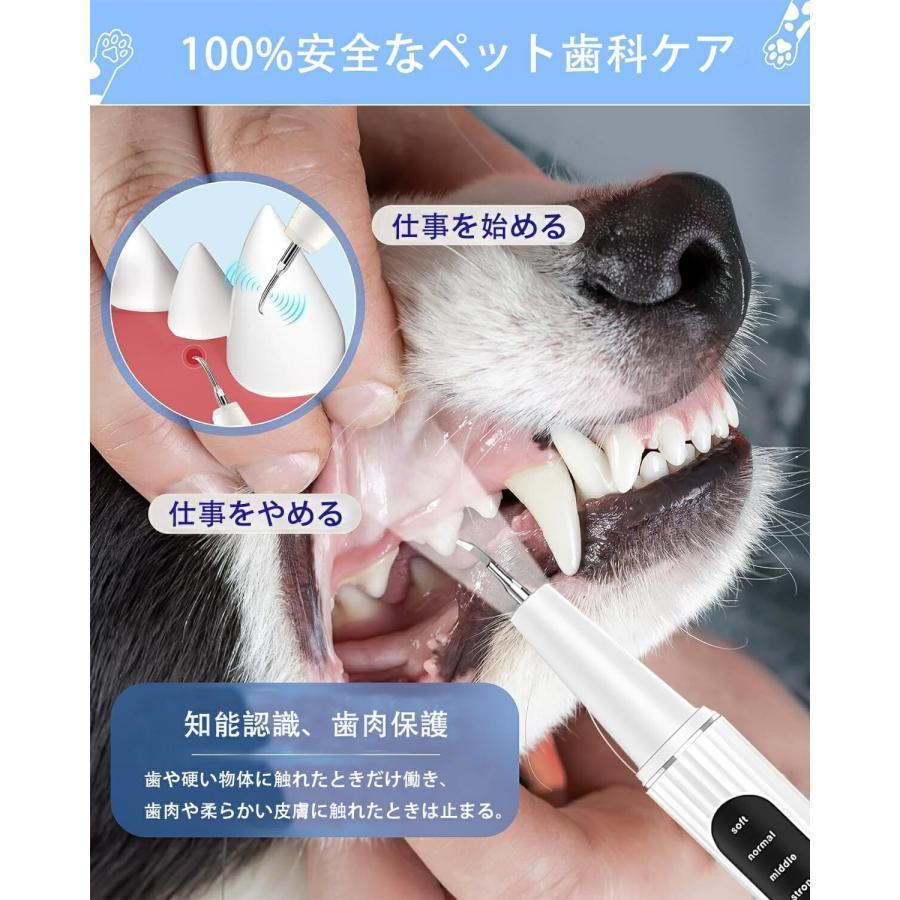 ペット口腔洗浄機 超音波歯クリーナー 口腔洗浄機 犬用歯垢除去