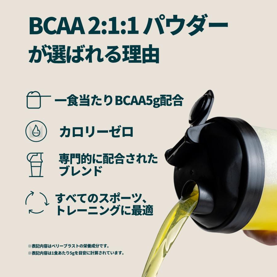 マイプロテイン 【BCAA 2:1:1 パウダー 250g】 フレーバー各種 筋トレ