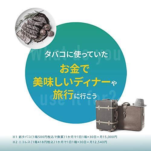 NICOLESS ニコレス ミント 1カートン (10箱入り)|mandms-trading|06