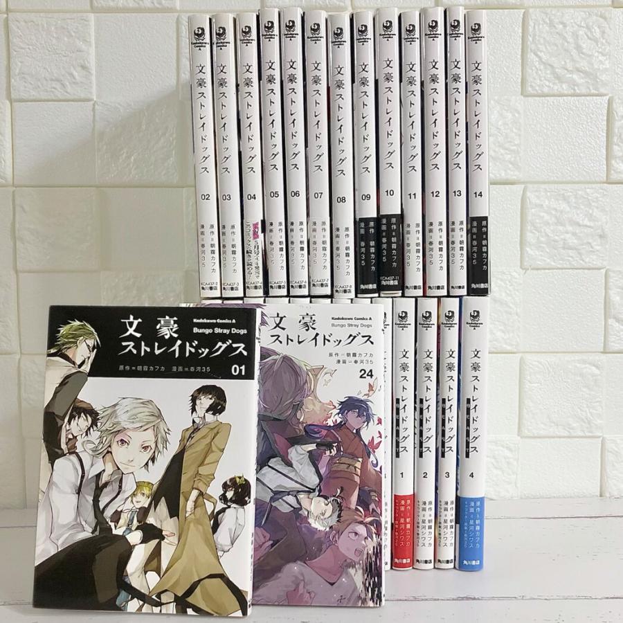 文豪ストレイドッグス 全巻セット 関連本付き 商品写真掲載 中古 送料 