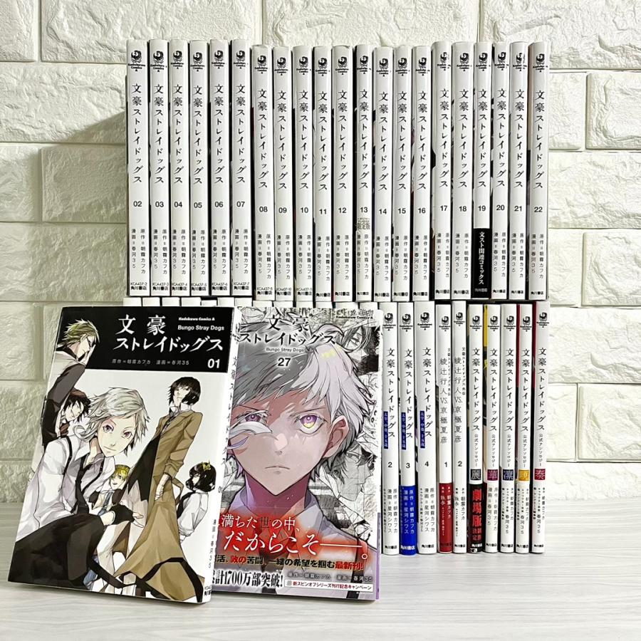 文豪ストレイドッグス 全巻セット 関連本付き 商品写真掲載 中古 送料
