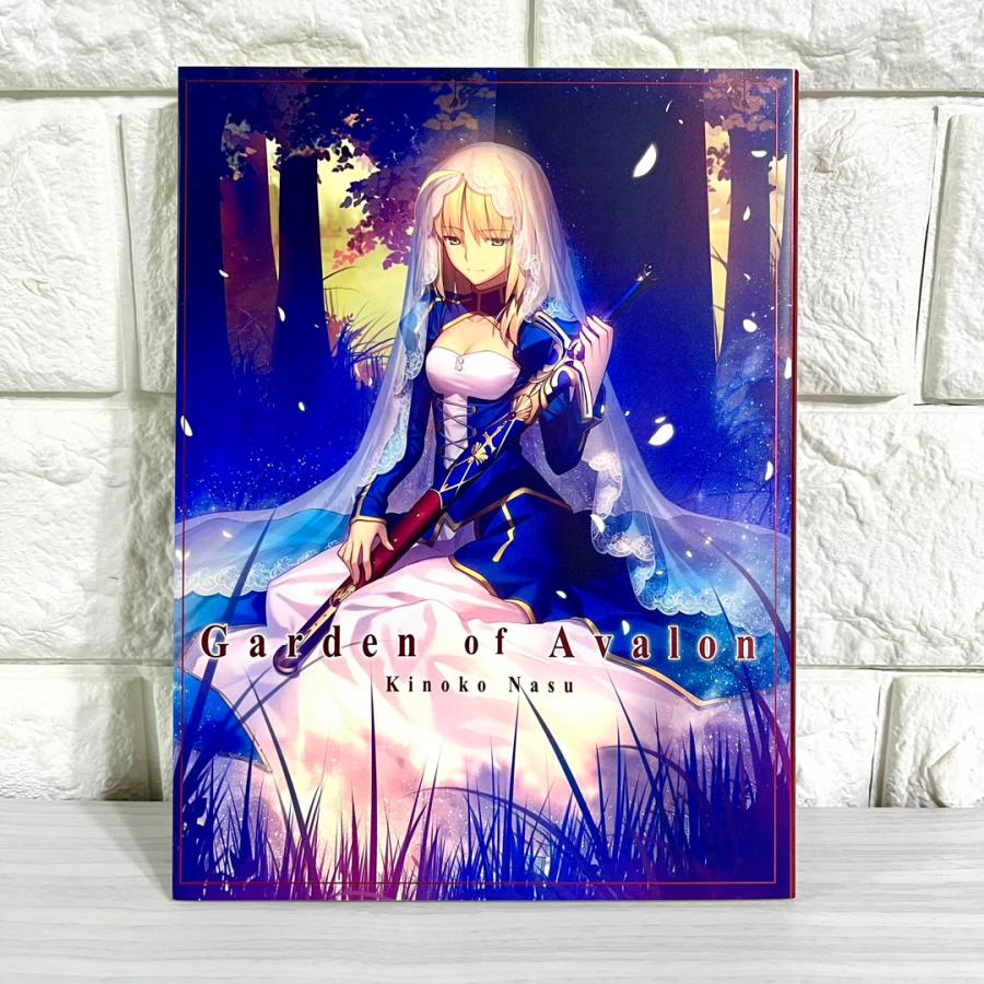 Fate/staynight 奈須きのこ 小説 Garden of Avalon Fate/stay night 小説 Garden of Avalon 商品写真掲載 奈須きのこ 中古