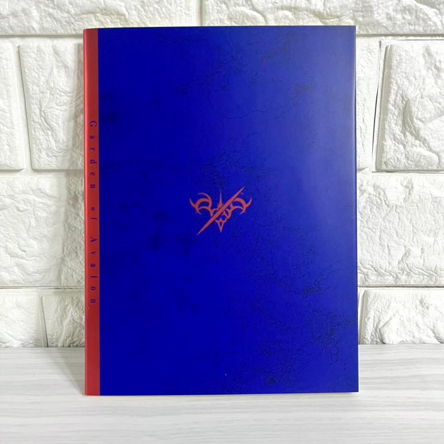 Fate/staynight 奈須きのこ 小説 Garden of Avalon Fate/stay night 小説 Garden of Avalon 商品写真掲載 奈須きのこ 中古