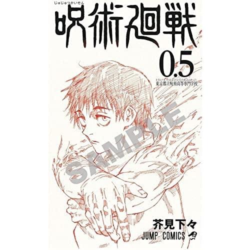 呪術廻戦（１〜２４巻+０巻+0.5巻+公式ファンブックセット