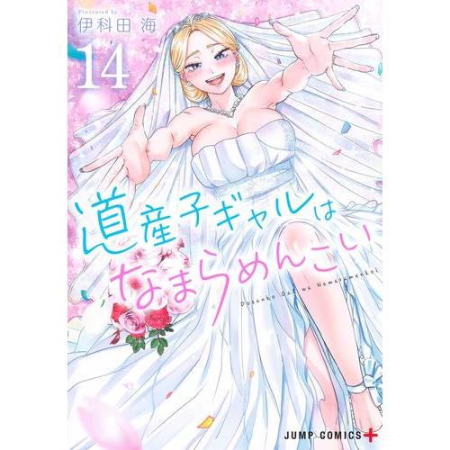 【DVD】道産子ギャルはなまらめんこい　全巻セット　※レンタルアップ品 新品 / 道産子ギャルはなまらめんこい (1-14巻 全巻) 全巻セット