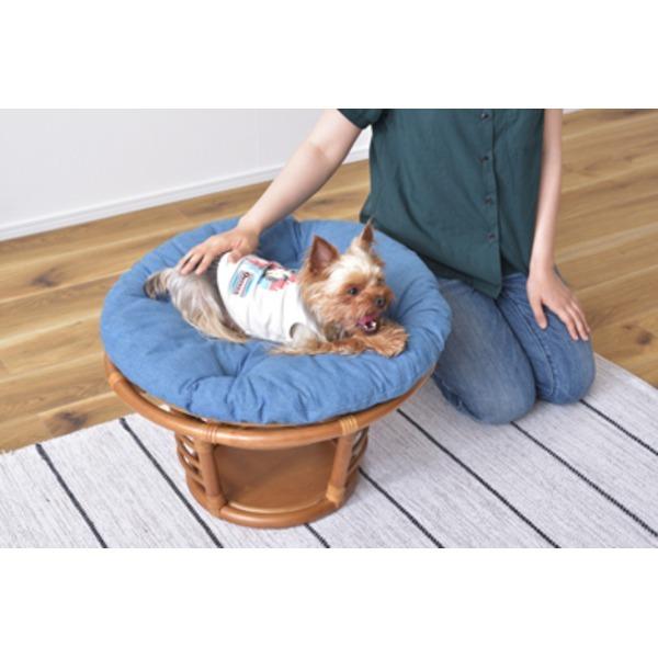 ペット用スツール ペット用品 約直径55×高さ35cm 静的耐荷重80kg 取り外し式 クッション付き ラタン 完成品 プレゼントの画像