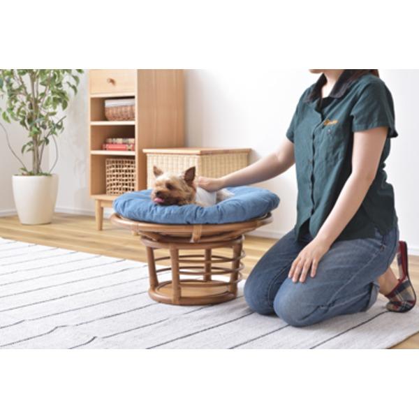 ペット用スツール ペット用品 約直径55×高さ35cm 静的耐荷重80kg 取り外し式 クッション付き ラタン 完成品 プレゼントの画像