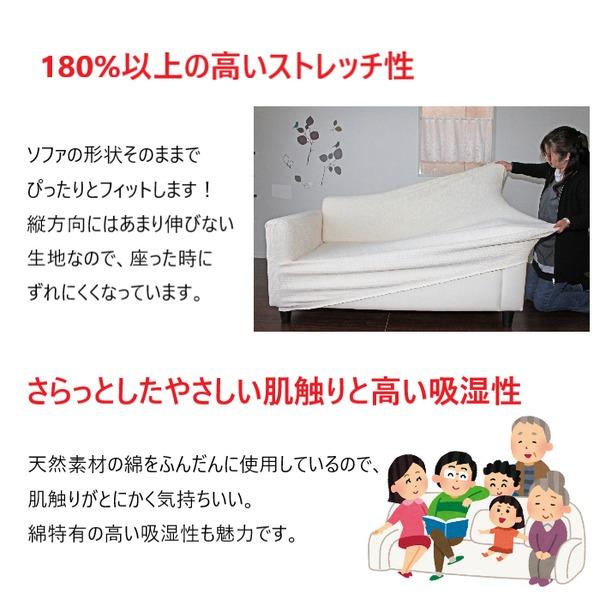 フィットソファカバー 2人掛け〔リーブス〕ブラウン 肘あり 洗える 抗菌 防臭 ストレッチ 伸縮 肘付き かけるだけ ソファーカバー 日本製 国産_1
