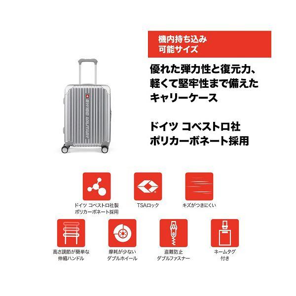 エム・エス・シーSWISS MILITARY CYGNUS(シグナス) 42L メタルシルバー SM-A820 1台の画像