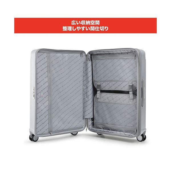 エム・エス・シーSWISS MILITARY CYGNUS(シグナス) 42L メタルシルバー SM-A820 1台の画像