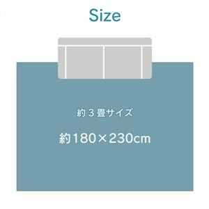 接触冷感 ラグ マット 約180×230cm 3帖 ブラック 軽量 洗える