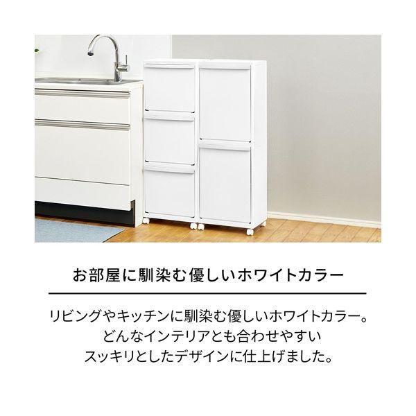天馬 ホワイトラッシュ 多段分別 50L WR-3522 1個_2