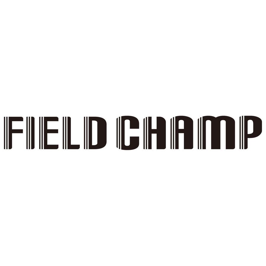 FIELD CHAMP FDB20L オレンジ 20インチ 折りたたみ自転車/ミムゴ折り畳み自転車/泥除け付き｜mangerou｜07