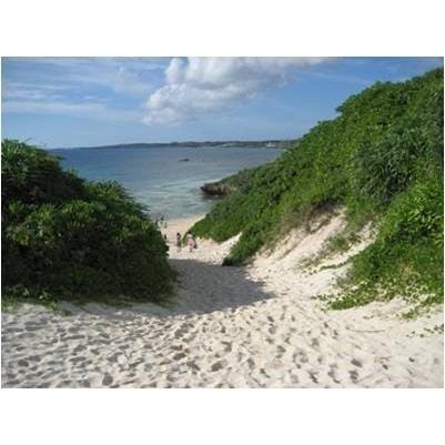 宮古島アップルマンゴー Premium 3個入り　約1.3㎏ 化粧箱入り】宮古島アップルマンゴー3玉(1kg以上)【即発送可