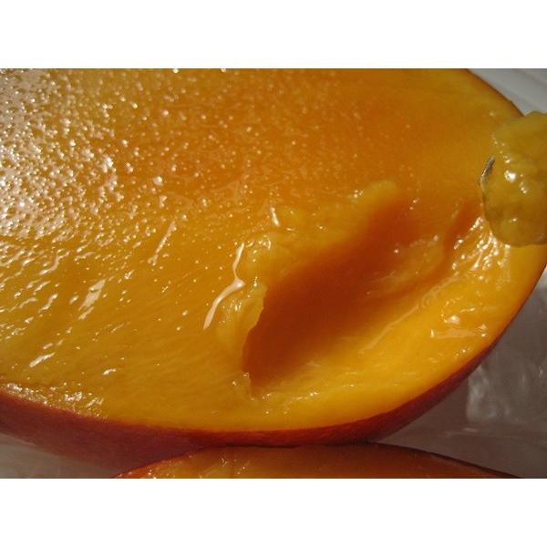 宮古島産アップルマンゴー2kg（4〜6個入り）｜mango-2gou｜03