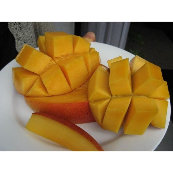 【訳あり】徳之島産  ミニアップルマンゴー  4.2キロオーバー 　【送料込】 mango-2gou_m007