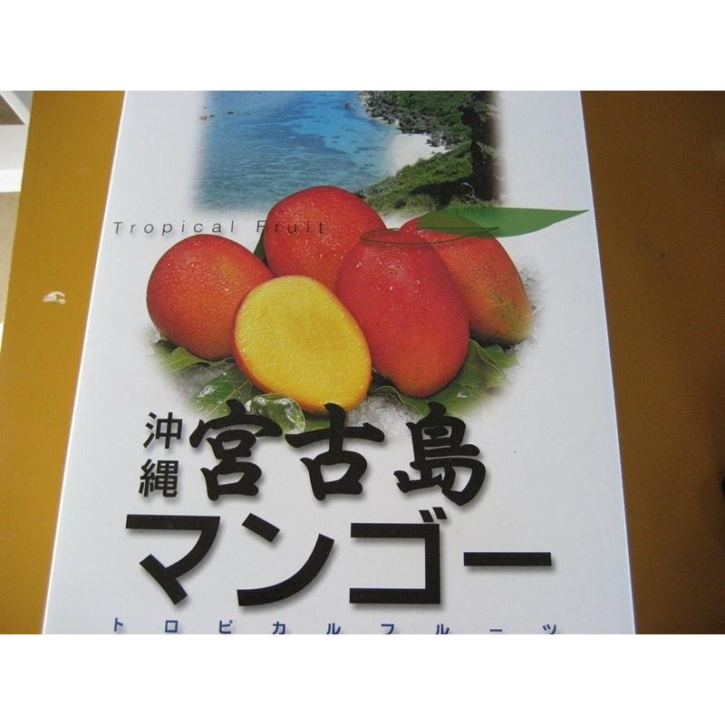 《訳あり2kg》家庭用・格安　宮古島産　アップルマンゴー2kg（4〜6個入り）｜mango-2gou｜04