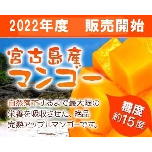 お徳用5kg》訳あり家庭用・格安 宮古島産 アップルマンゴー5kg（14〜18 