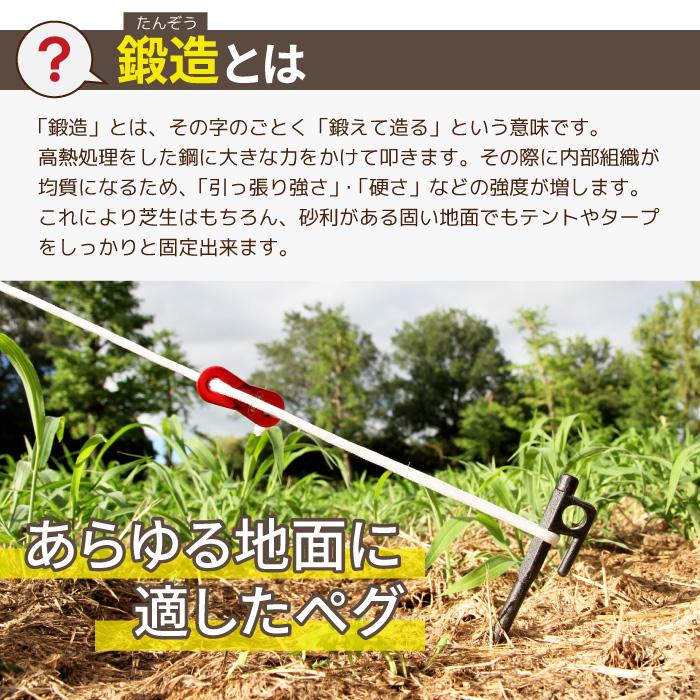 鍛造ペグ カラー 20cm ８本入り MOSCO モスコ テント | MOSCO | 01